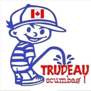 Meet your Posher, Kash